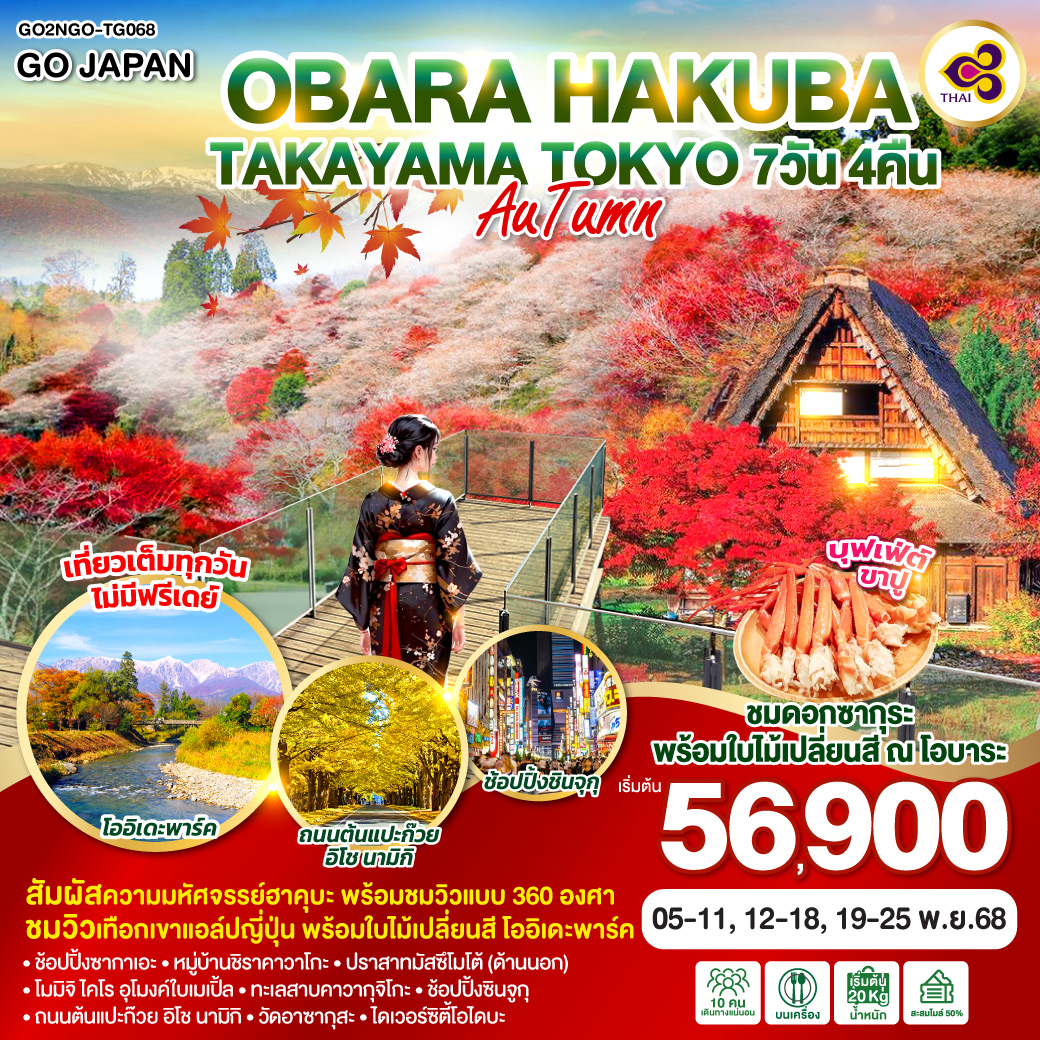 ทัวร์ญี่ปุ่น OBARA HAKUBA TAKAYAMA TOKYO AUTUMN 7วัน 4คืน  (TG)