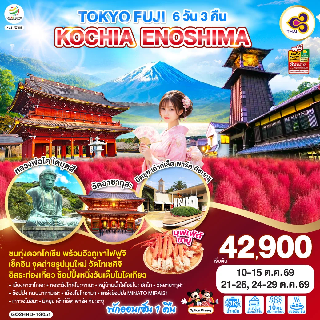 ทัวร์ญี่ปุ่น TOKYO FUJI KOCHIA ENOSHIMA 6วัน 3คืน (TG)